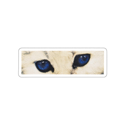 Cat Eyes Sticker