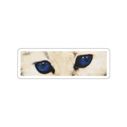 Cat Eyes Sticker