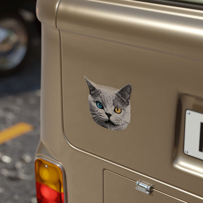 Sharkcat Sticker