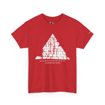 Freedminds Secret Society Tee (HEAVY)