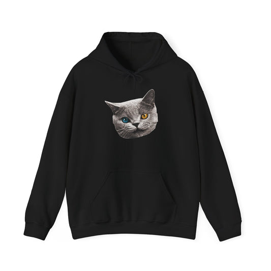 Shark Cat Hoodie