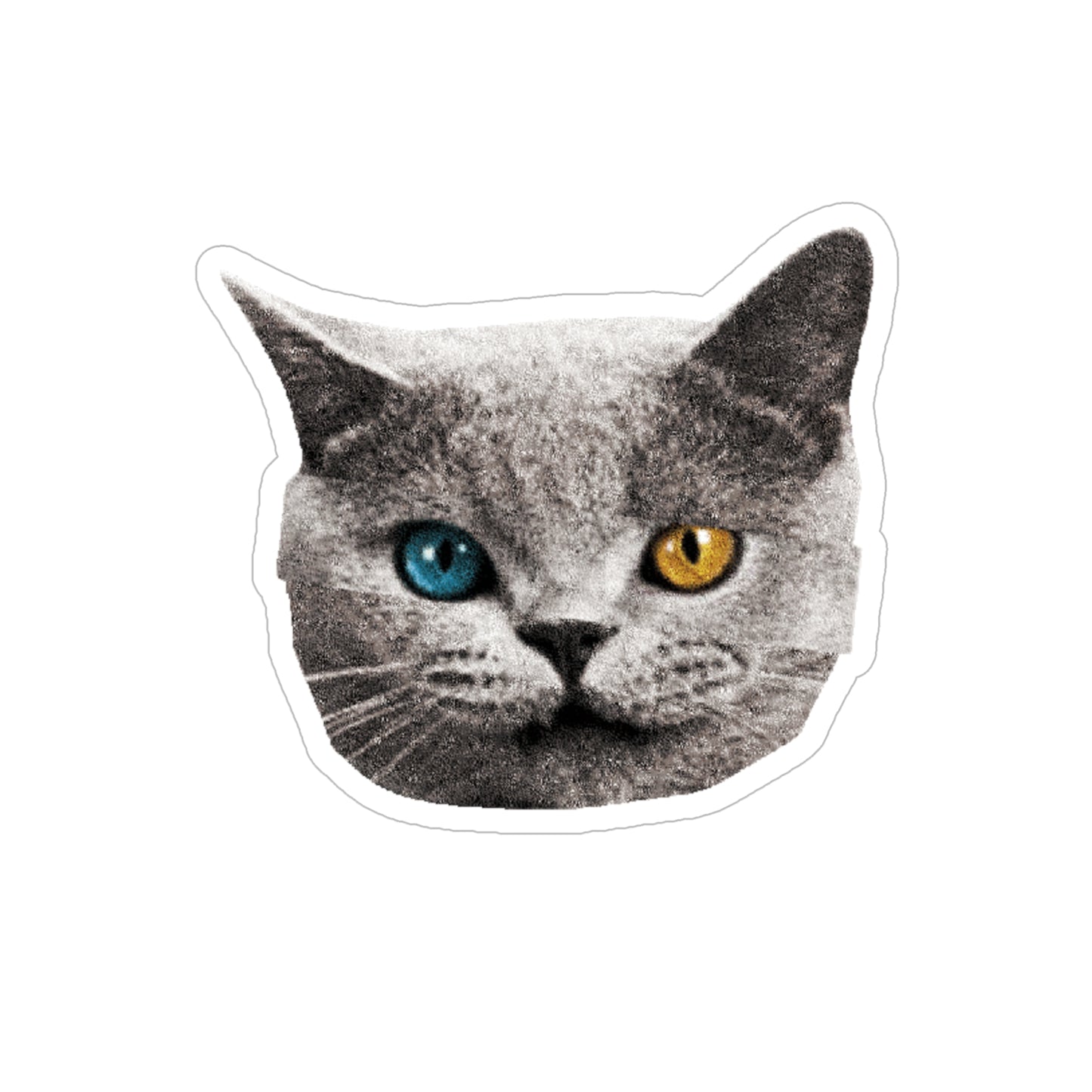 Sharkcat Sticker