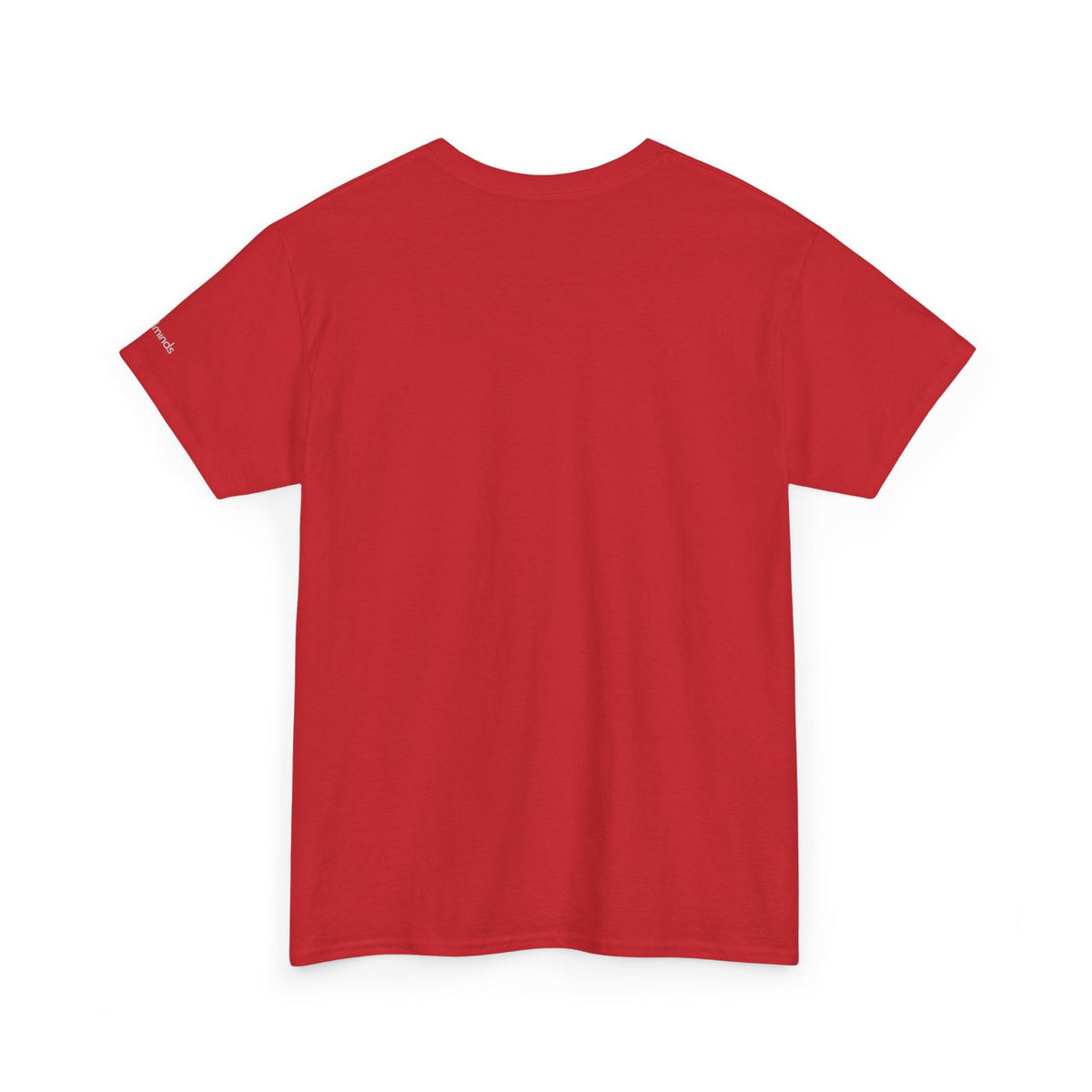 Freedminds Secret Society Tee (HEAVY)