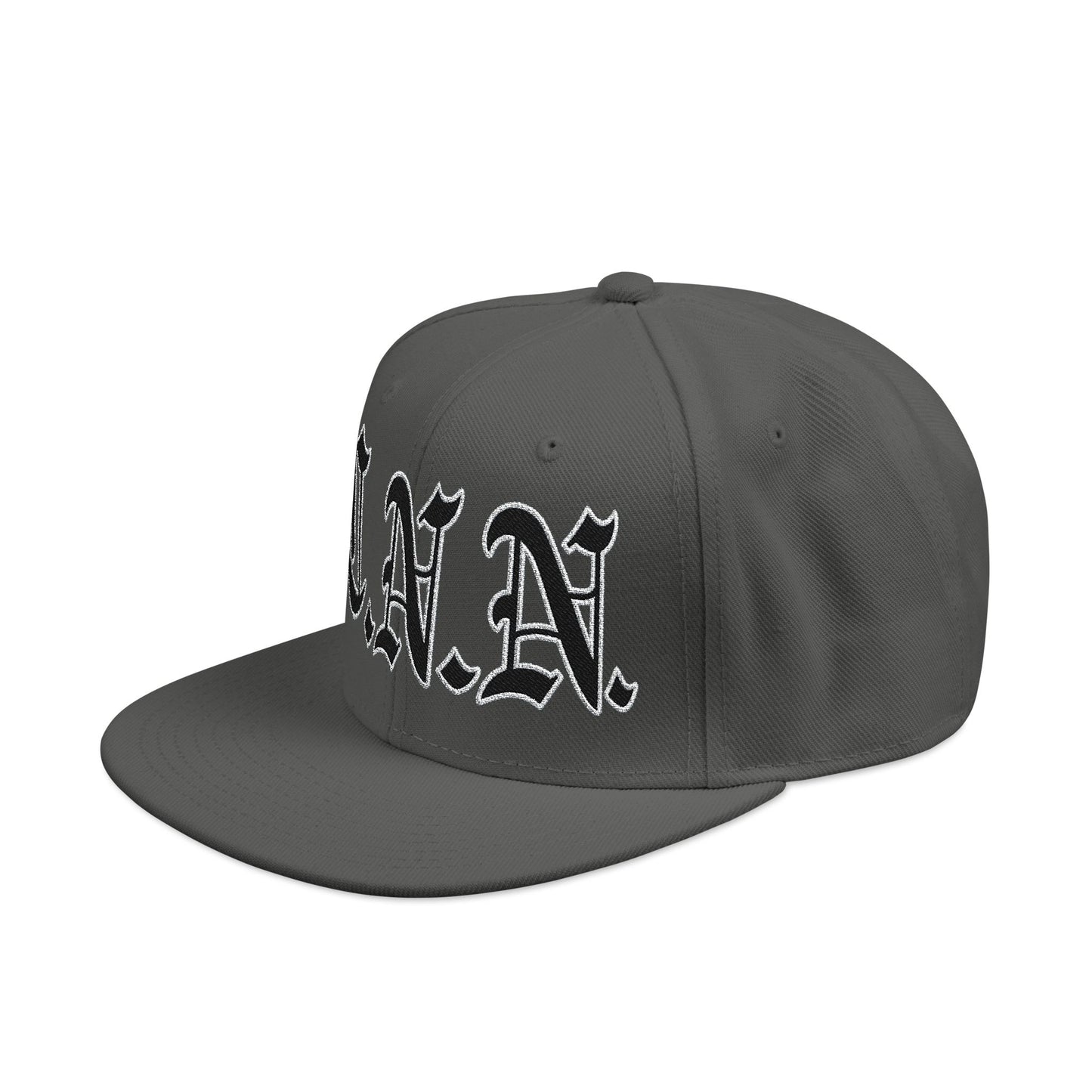 G.N.N Gray Snapback