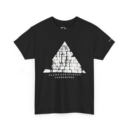 Freedminds Secret Society Tee (HEAVY)