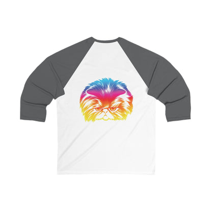 Adult Size Unisex Odd future Rainbow Cat Raglan Tee