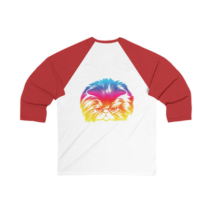 Adult Size Unisex Odd future Rainbow Cat Raglan Tee