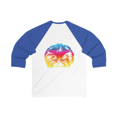 Adult Size Unisex Odd future Rainbow Cat Raglan Tee