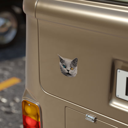 Sharkcat Sticker