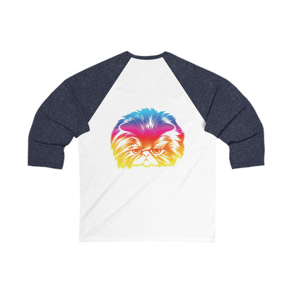 Adult Size Unisex Odd future Rainbow Cat Raglan Tee