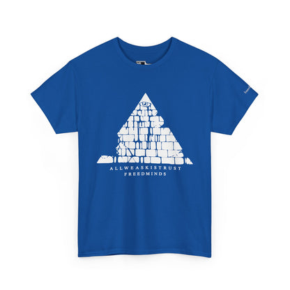 Freedminds Secret Society Tee (HEAVY)
