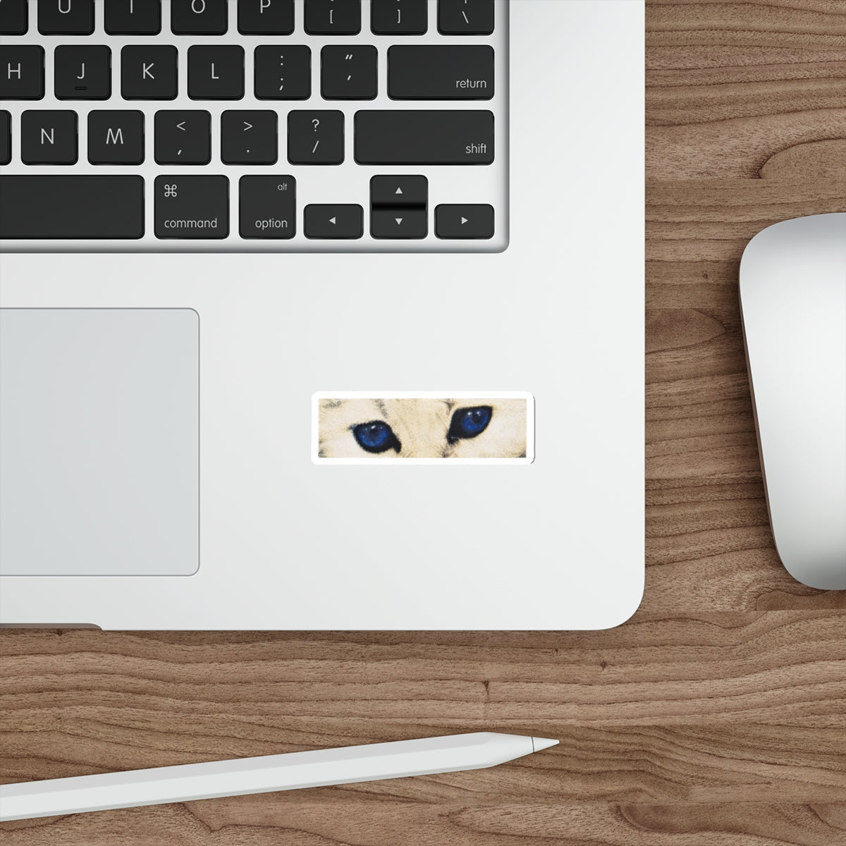 Cat Eyes Sticker
