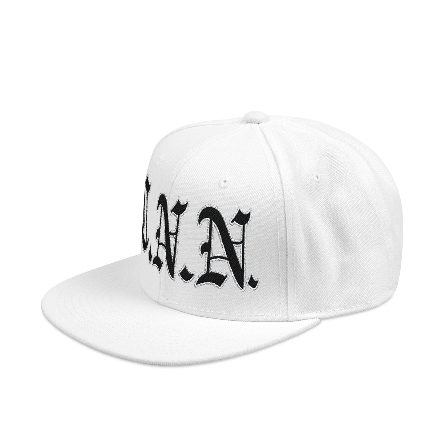 G.N.N Gray Snapback