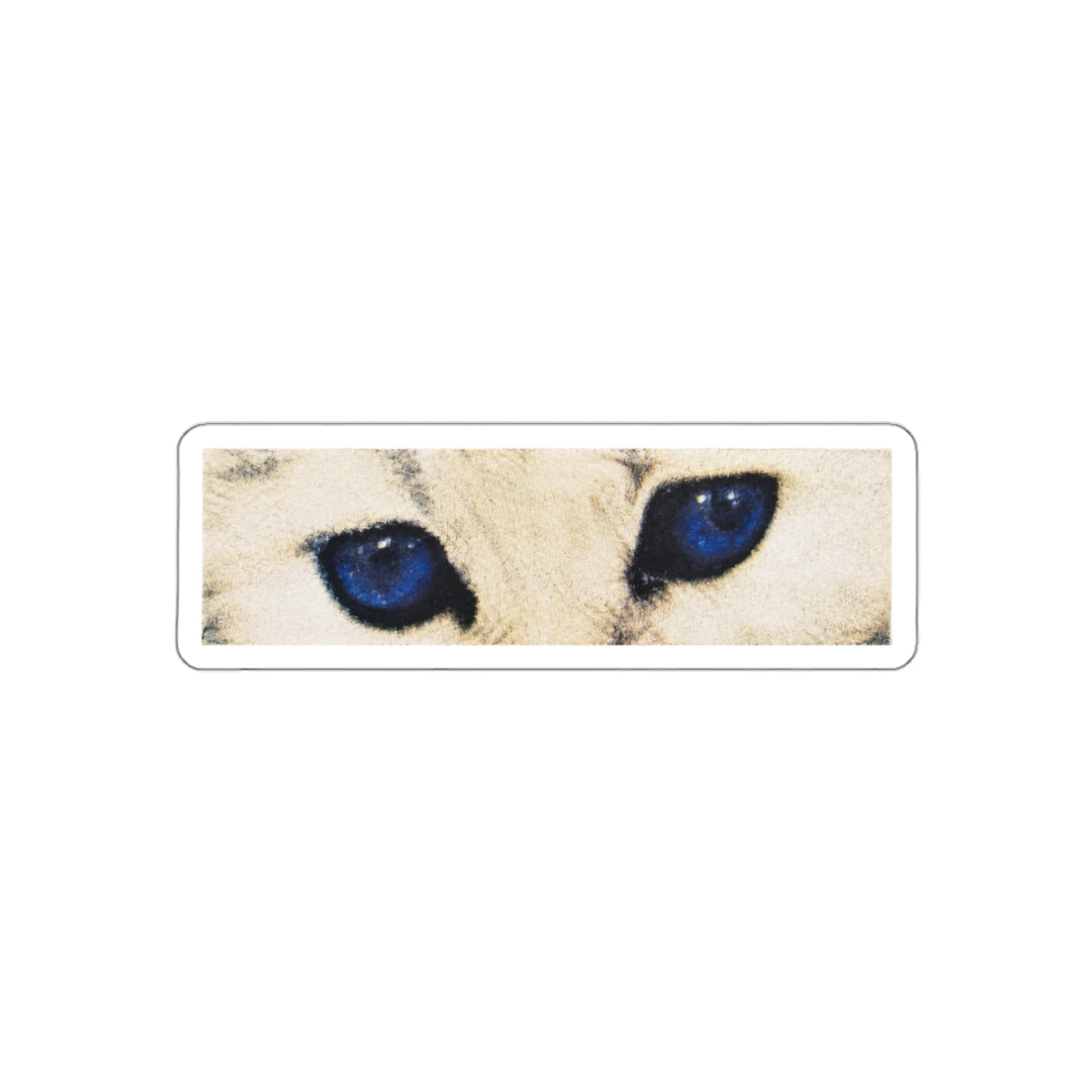 Cat Eyes Sticker
