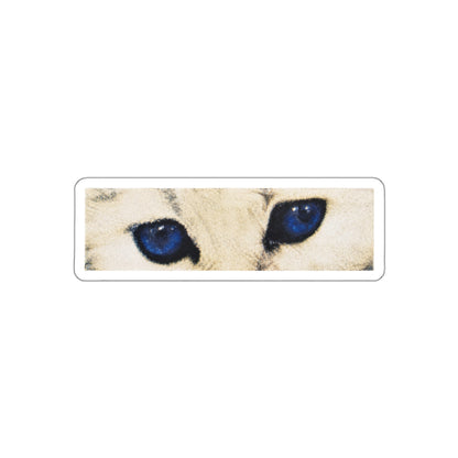 Cat Eyes Sticker