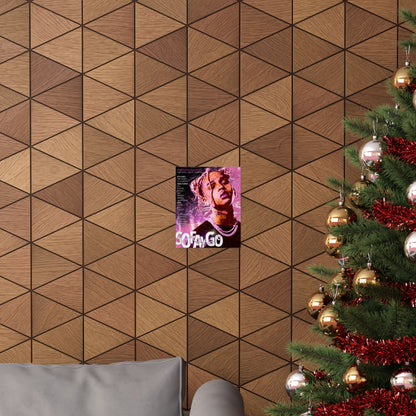 SoFaygo Poster