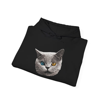 Shark Cat Hoodie