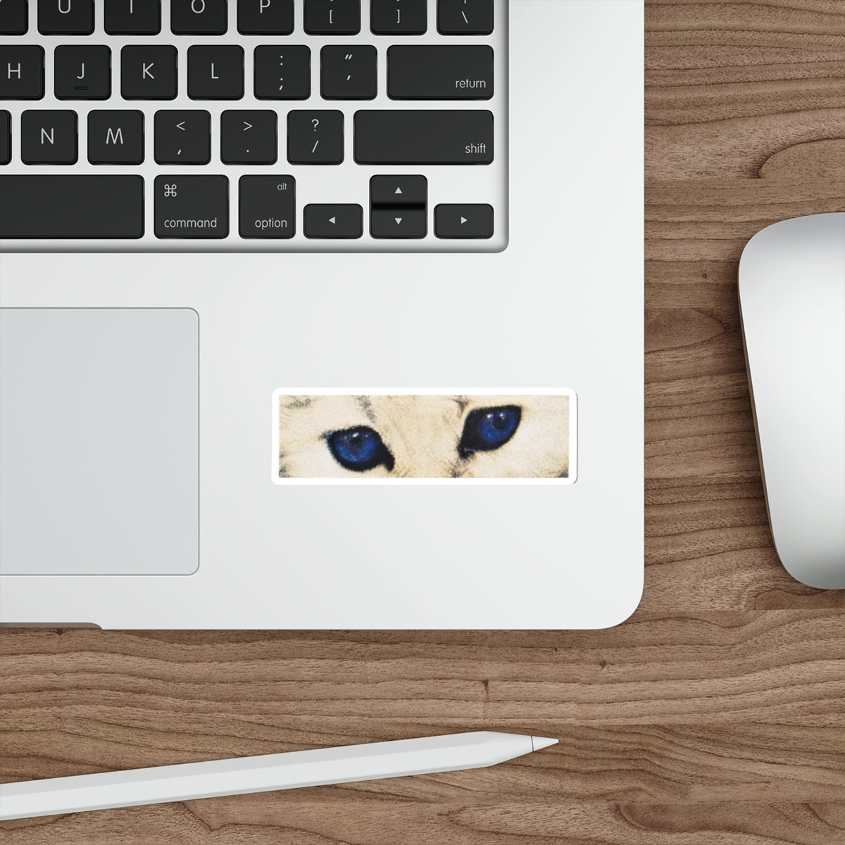 Cat Eyes Sticker