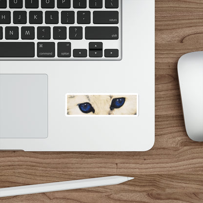 Cat Eyes Sticker