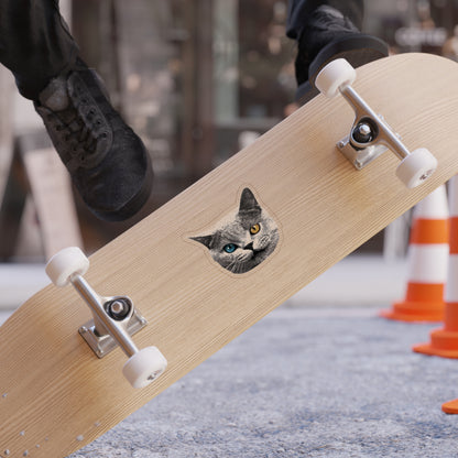 Sharkcat Sticker