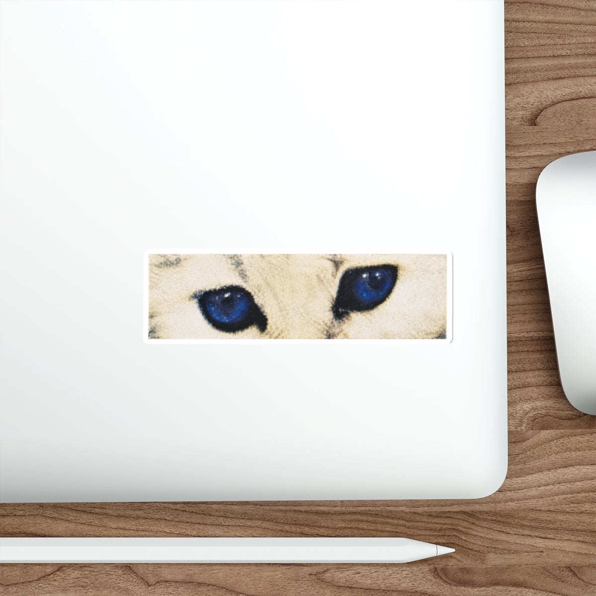 Cat Eyes Sticker