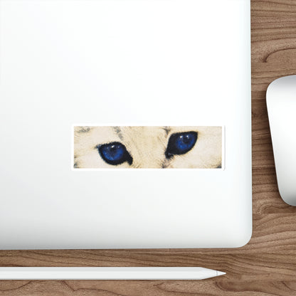 Cat Eyes Sticker