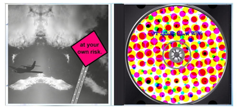 At Your Own Risk CD